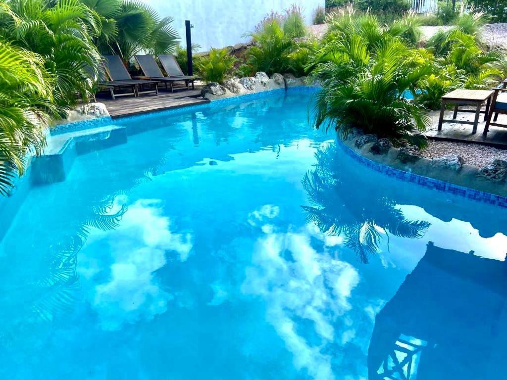 Neue Villa Tropic Paradise يلمستاد المظهر الخارجي الصورة